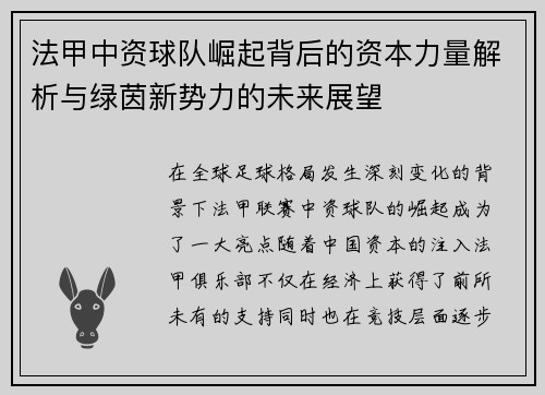 法甲中资球队崛起背后的资本力量解析与绿茵新势力的未来展望
