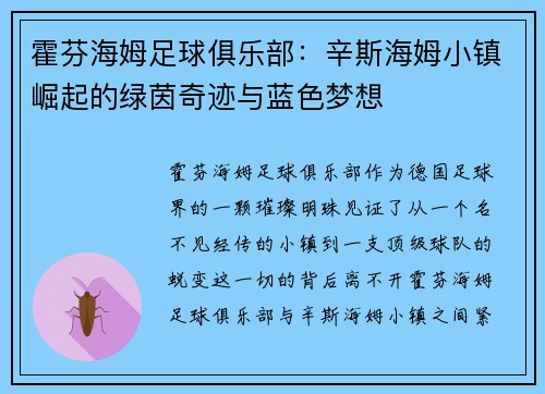霍芬海姆足球俱乐部：辛斯海姆小镇崛起的绿茵奇迹与蓝色梦想