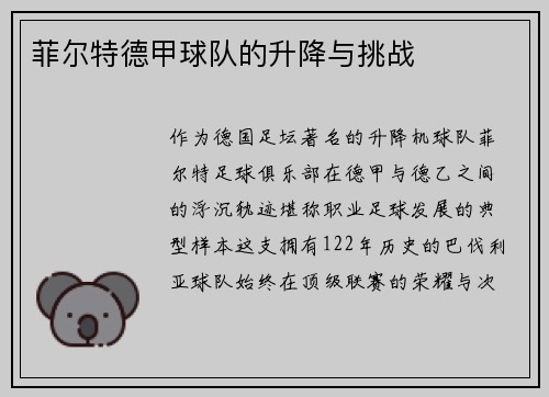 菲尔特德甲球队的升降与挑战