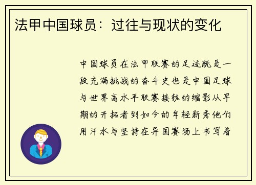 法甲中国球员：过往与现状的变化